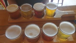 Paddles!!! at Shedshaker Brewing Company in Castlemaine