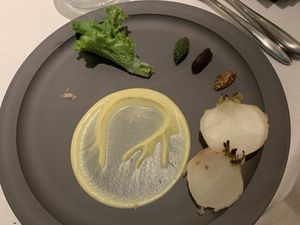 Vegan course Raddish covered with salt crust at FARO in Tokyo