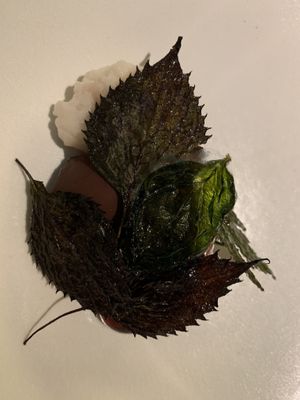 Vegan course desert - Cacao and Cacao fruit sherbet at FARO in Tokyo