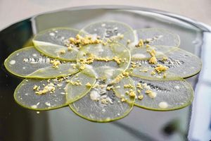 Melon Carpaccio at FARO in Tokyo