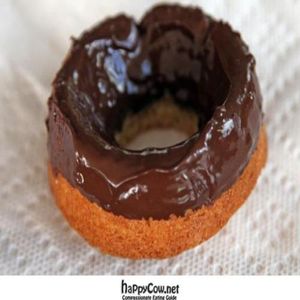 vegan doughnut at Babycakes - downtown LA in Los Angeles