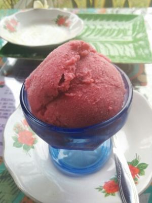 strawberry coconut sorbet! at Buddha Cafe in Samosir