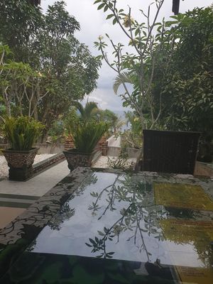 Garden at Buddha Cafe in Samosir