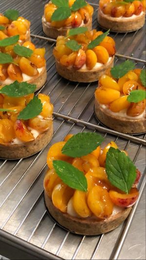 Mirabelle at Millefolium in Pau