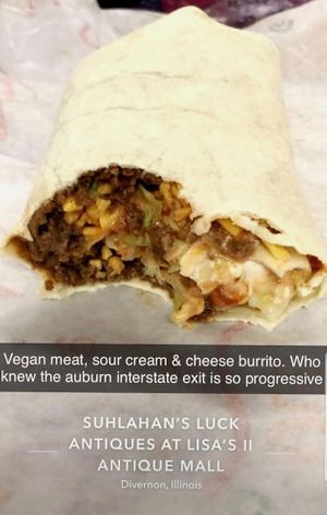 Vegan burrito with vegan cheese, vegan sour cream & TVP at Encounters in Divernon