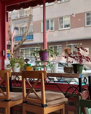  at Terradan Pub in Ankara