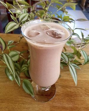 Plant based smoothies and cold drinks at Terradan Pub in Ankara