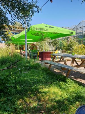 Buitenterras at Tessa's Place in Deventer