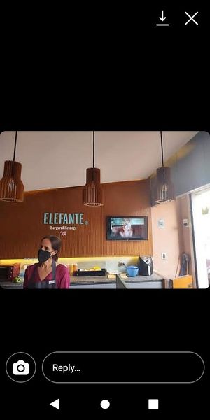 Very friendly. We chatted a long time at Elefante Plant Based in Morelia