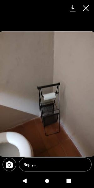 Yes I review bathrooms. Perfect toilet roll holder at Elefante Plant Based in Morelia