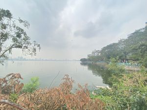   at Kiez - Vegan Butcher Cafe & Bistro in Hanoi