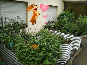 Hauseigener Kräuter-Garten at Holzer's Traditionshaus in Niederzier