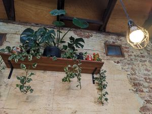  at Monk Bodhi Dharma in Balaclava