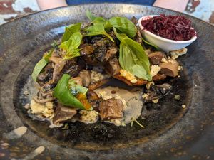 Mushrooms at Monk Bodhi Dharma in Balaclava