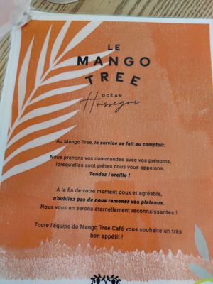  at Le Mango Tree 2 in Hossegor