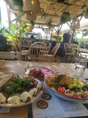 Tofu bowl and falafel at Honest Greens in Lisbon