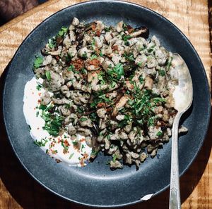 Pilze spatzle at BROT in Guerneville