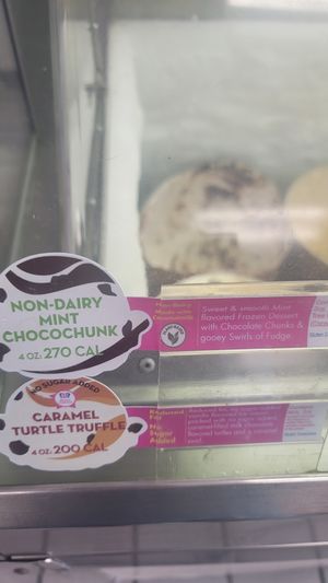 Vegan ice cream option (they change monthly) at Baskin Robbins in Carmel