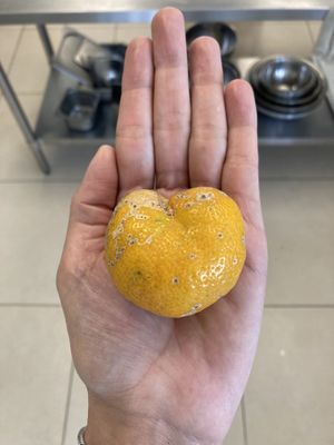 Organic at Carrito Organic in Sao Paulo