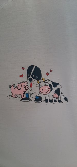 And they have a lovely 😍 t-shirt at Carrito Organic in Sao Paulo