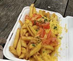 Cheezy garlic fries (missing the sauce) at A Taste of Vitality in Hastings
