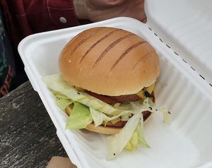 Cheeze and Chong burger at A Taste of Vitality in Hastings