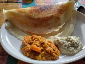 Masala dosa at A Taste of Vitality in Hastings