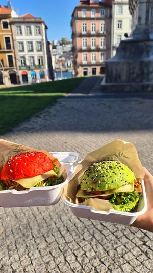 Yammy at Zen Wonderland in Sintra