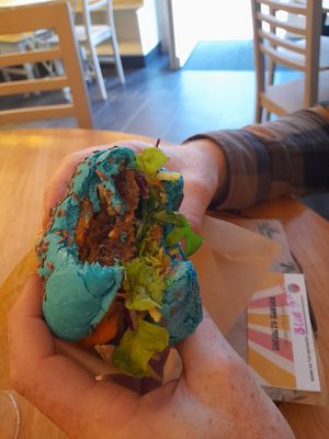  at Zen Wonderland in Sintra