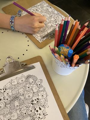   at Zen Wonderland in Sintra