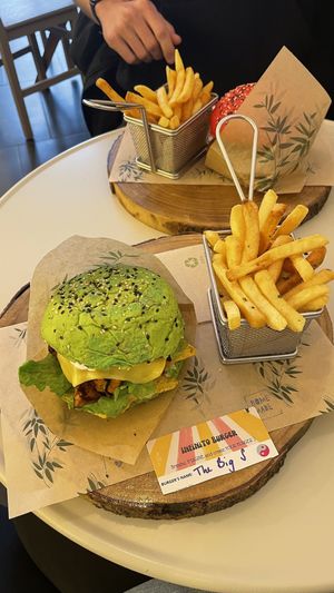   at Zen Wonderland in Sintra