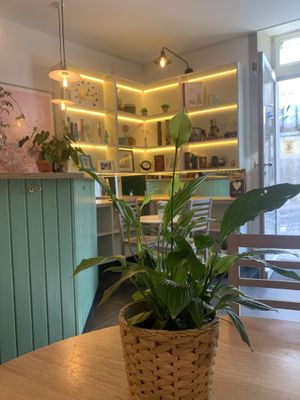   at Zen Wonderland in Sintra