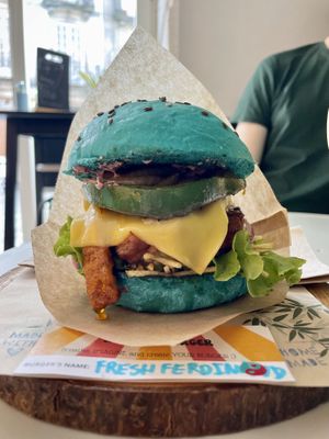   at Zen Wonderland in Sintra