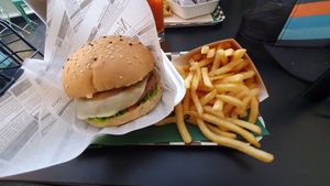 Zen burger with fries at Zen Wonderland in Sintra