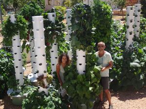 Agrotonomy  Tower Farms at Agrotonomy Corporation in Sedona