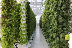 Agrotonomy  Tower Farms at Agrotonomy Corporation in Sedona
