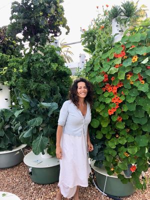 Agrotonomy  Tower Farms at Agrotonomy Corporation in Sedona