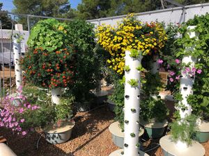 Agrotonomy  Tower Farms at Agrotonomy Corporation in Sedona