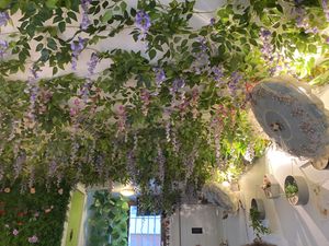   at Cantine De Lotus in Paris