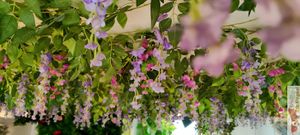 flowers deco at Cantine De Lotus in Paris
