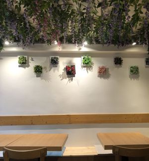   at Cantine De Lotus in Paris