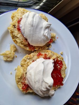 Scone with jam (Oatly whipped cream bought elsewhere). at Leaf & Bean in Broadway