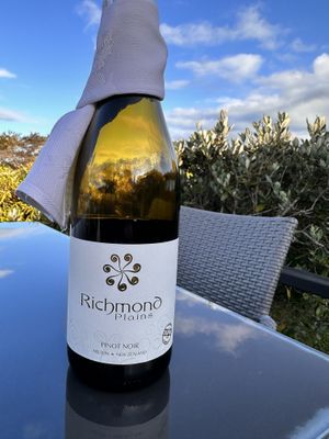 Vegan and organic   at The Views Vegetarian Restaurant in Kaiteriteri