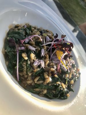 Vegan risotto at The Views Vegetarian Restaurant in Kaiteriteri