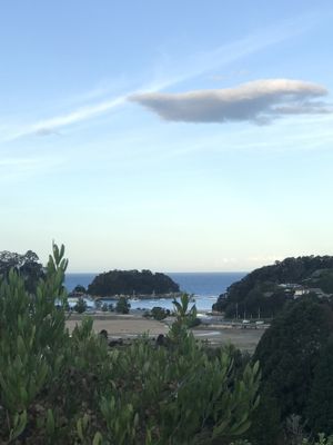 The view from the patio at The Views Vegetarian Restaurant in Kaiteriteri