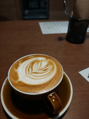  at Black Shag in Invercargill