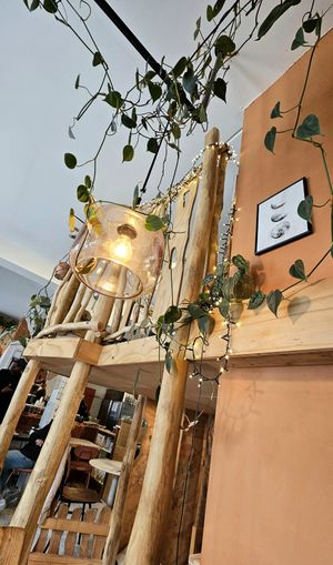  at Jungle Café & Catering in Eindhoven