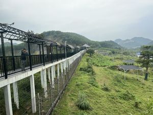 Sky walk   at BEAR SANCTUARY in Ninh Binh