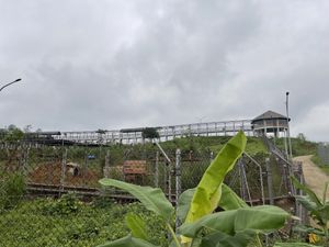 The Skywalk over the Bear Sanctuary  at BEAR SANCTUARY in Ninh Binh