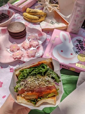 Vegan Spicy Red Chicken Sandwich at &sandwich in Tokyo